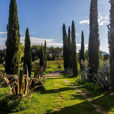 Agriturismo Bio Fattoria Casetta 加沃拉诺 外观 照片