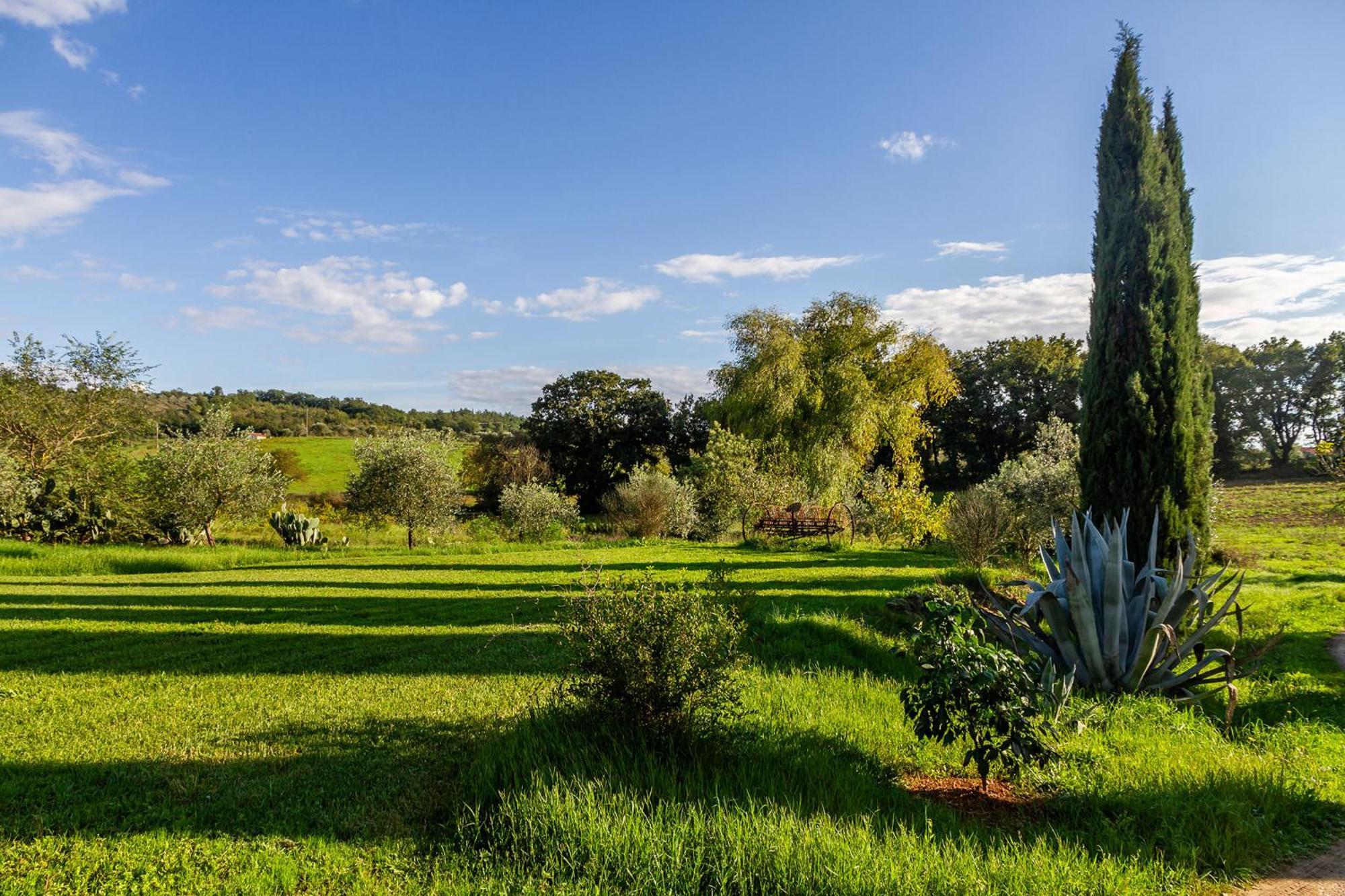 Agriturismo Bio Fattoria Casetta 加沃拉诺 外观 照片